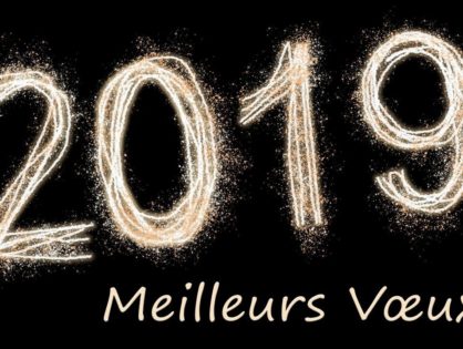 Meilleurs Voeux 2019