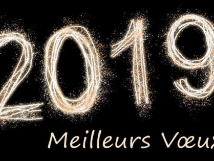 Meilleurs Voeux 2019